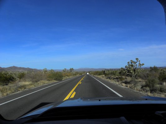 Joshua-Tree-Parkway.jpg