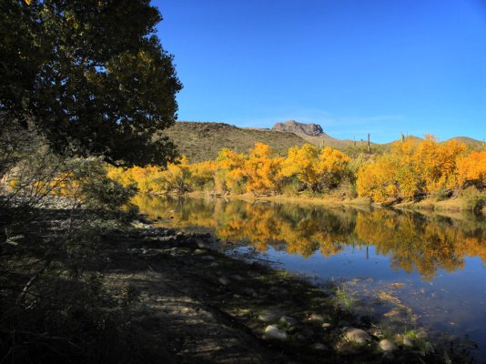 Burro-Creek-Reflections.jpg