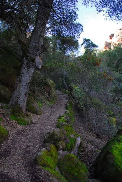 pinnacles3.jpg