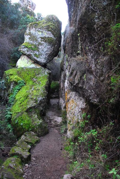 Pinnacles8.jpg