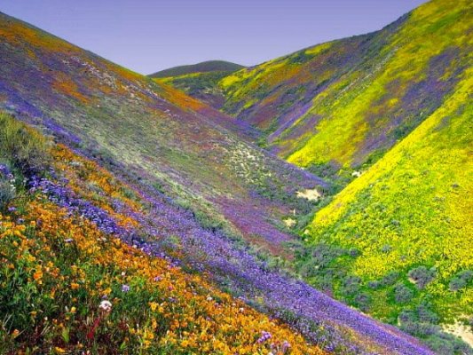 Carrizo Plain (east).jpg