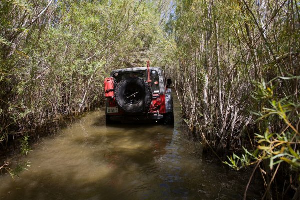 jeep in canal.jpg