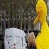 Big Bird