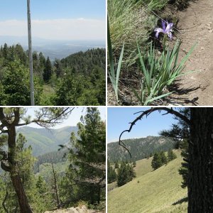 White Mountain Wilderness, NM