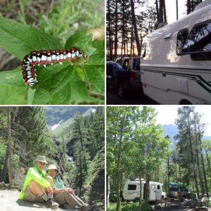 Glacier NP Escaping