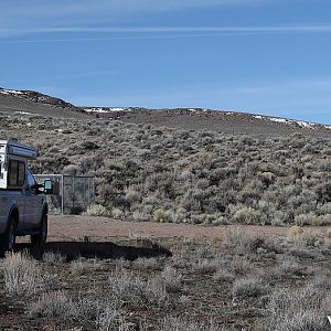 Petrified Forest - NE Nevada