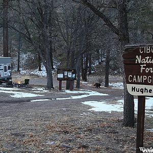 Hughes Mill Campground