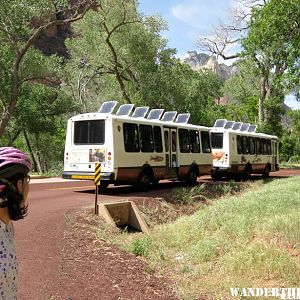 Biking Zion Canyon