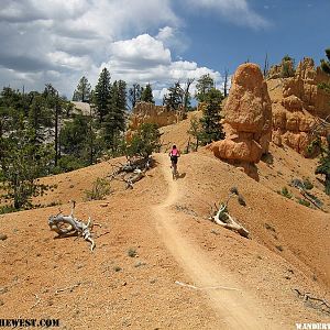 Thunder Mountain Trail