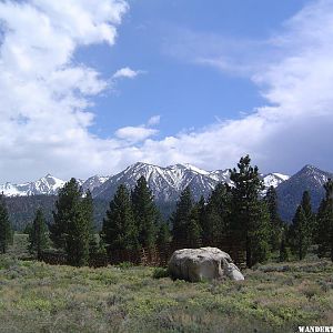 Sierra landscape