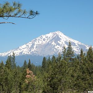 Hwy 89 - Mt. Shasta