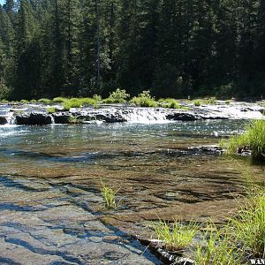 Steamboat Creek - Umpqua National Forest