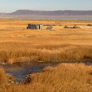 Alvord Hot Springs