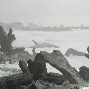 Logs in the surf.