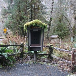 Mossy phone booth