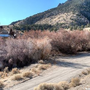 Mine on Ophir Creek