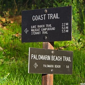 Palomarin Beach Trail