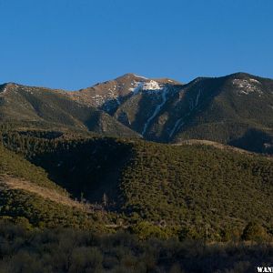 Looking up into the Sangre De Cristo Range