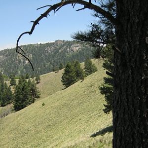 Along the Crest Trail near Monjeau