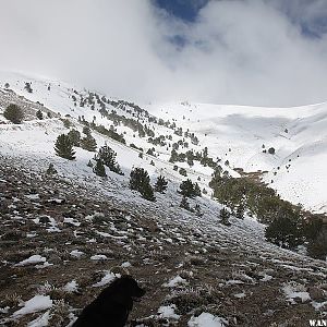 Hiking Ophir Pass