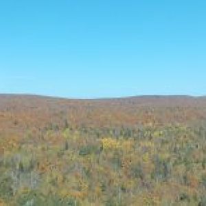 Oberg Lake Overlook Panorama