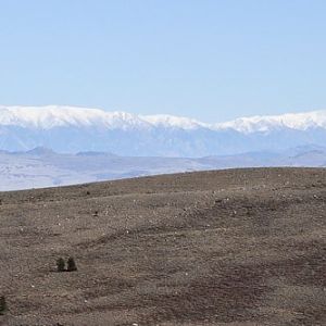 Whites from Dunderberg Road