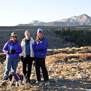 Ladies in Purple/Blue