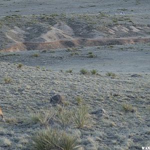 Camped near the Pawnee Buttes Trail Head