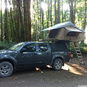 Cowichan lake camping in the trees