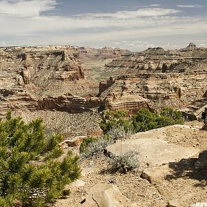 Wedge overlook