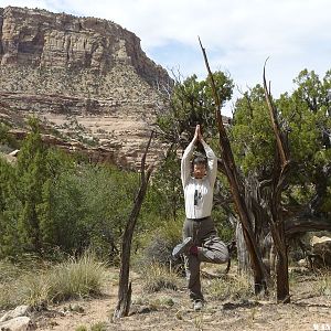 Tree Yoga