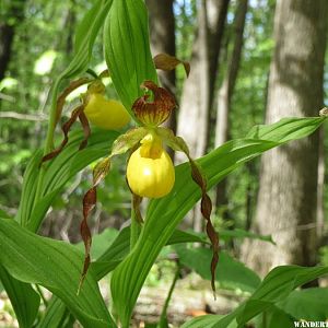 2014 HOME LADY SLIPPERS 10