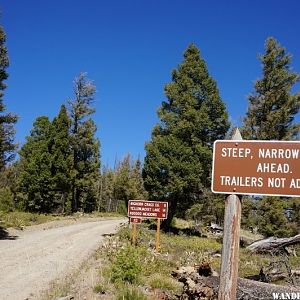 Road to Bighorn Crags