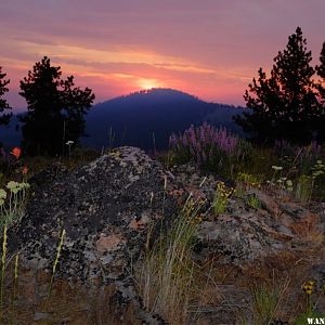 Pine Mountain sunrise June 2015