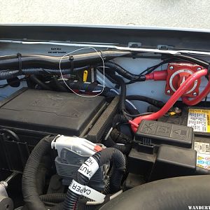 Underhood wiring