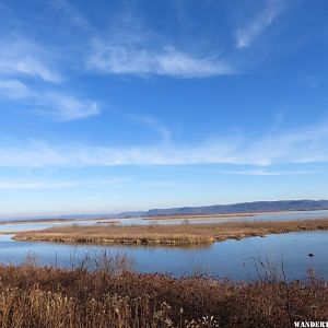 '15 MN 22 RENO TUNDRA SWANS