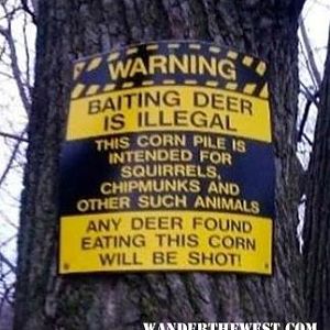 Baiting Deer Sign