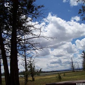 Res F Modoc NF-photo taktn on 6-15-16 not in 054