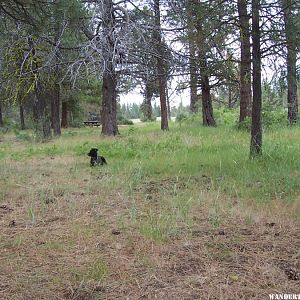 Res. F Modoc NF-Photo taken in June 2016-not in 05