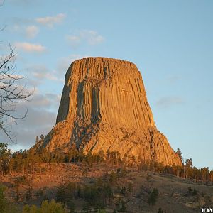 Devil's Tower at Sunrise