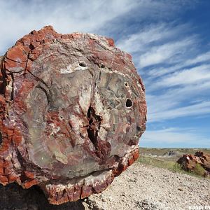 '16 W63 AZ, PETRIFIED FOREST NP