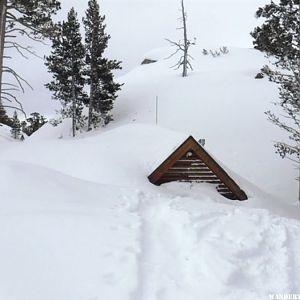 Carson Pass January 2017 003