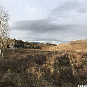 Saddle Mountain - Routt Forest