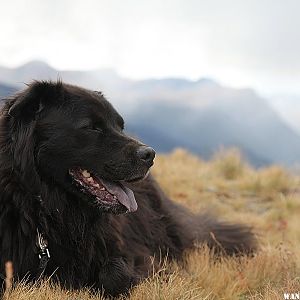 Diego at the Summit