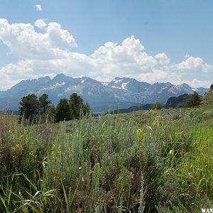 Sawtooth Range