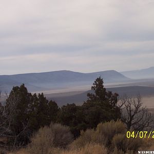 Sheldon NWR (04/07/2020)