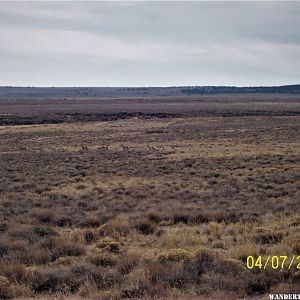 Sheldon NWR, Nevada (04/07/2020