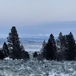 Cold December Moon