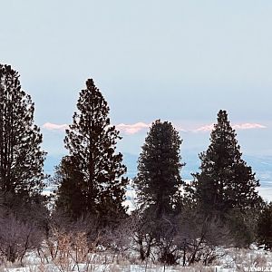 Floating Mountain Tops