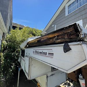 Roof Rot